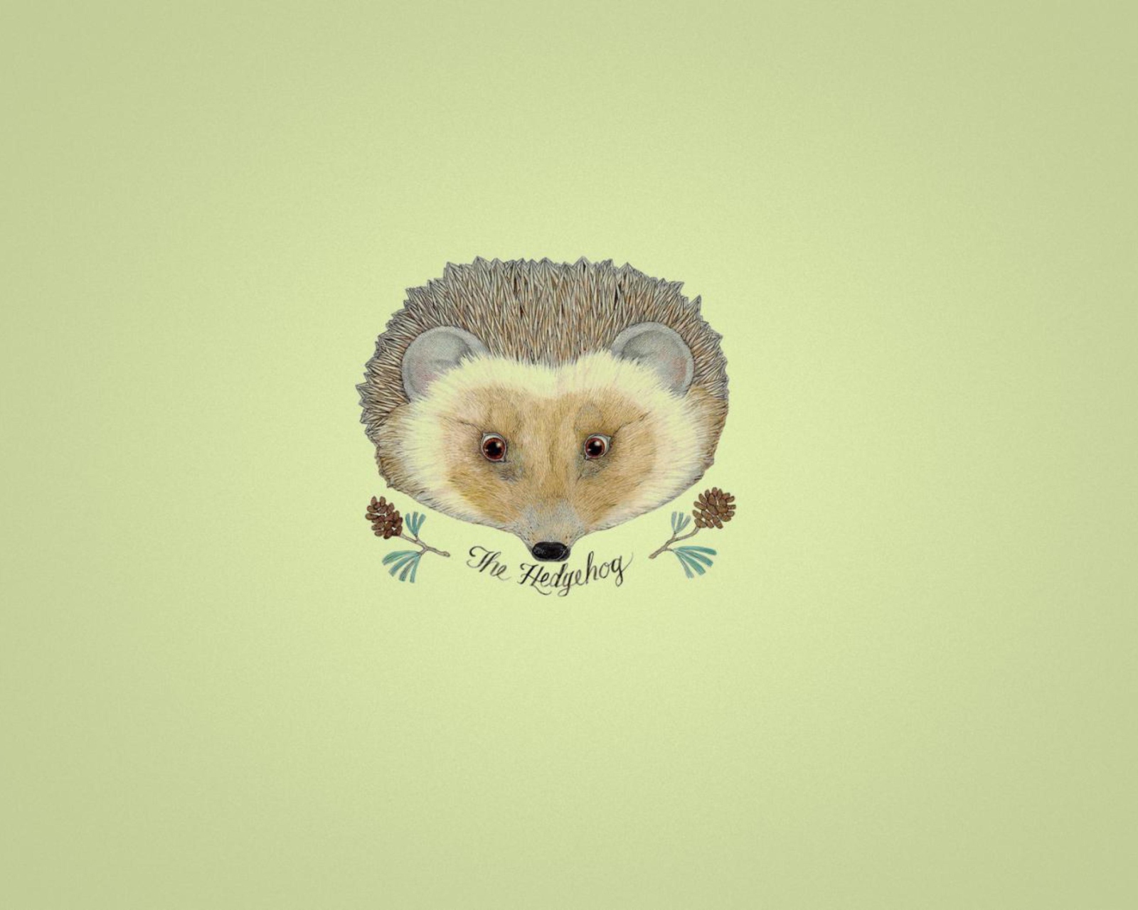 Das Hedgehog Wallpaper 1600x1280