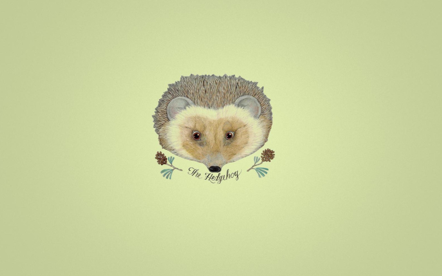 Das Hedgehog Wallpaper 1680x1050