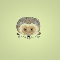 Fondo de pantalla Hedgehog 208x208