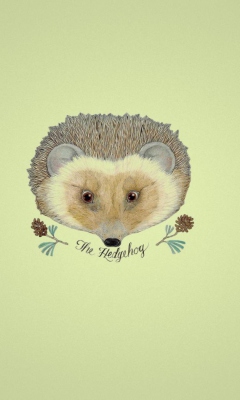 Hedgehog wallpaper 240x400