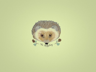 Hedgehog wallpaper 320x240