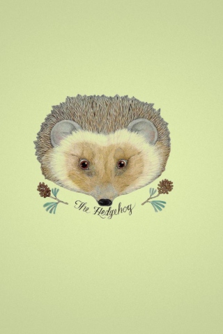 Hedgehog wallpaper 320x480