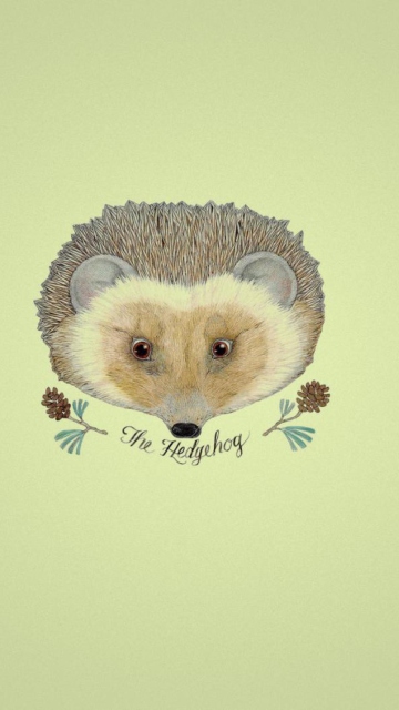 Hedgehog wallpaper 360x640
