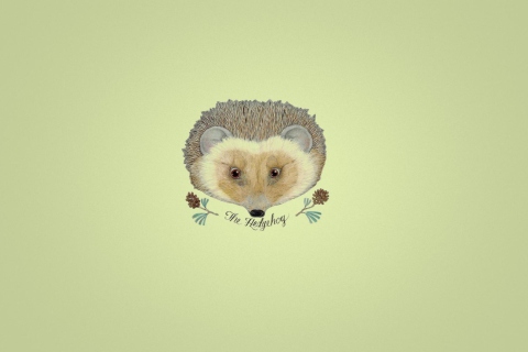 Hedgehog wallpaper 480x320