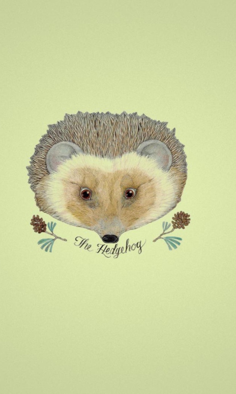 Das Hedgehog Wallpaper 480x800