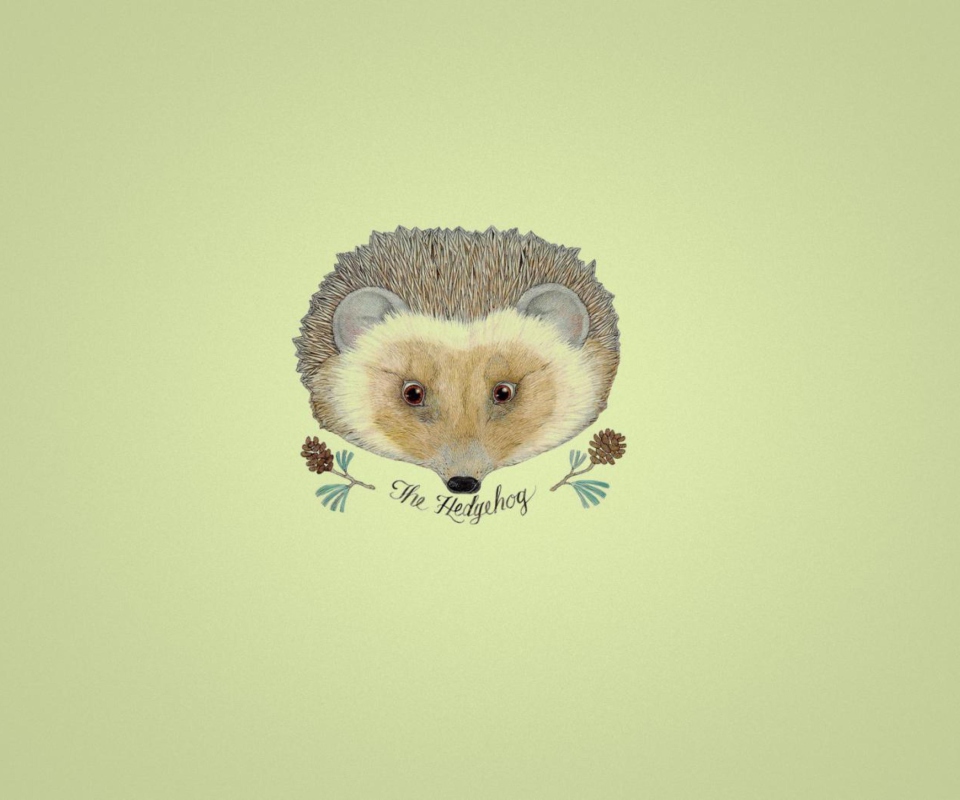 Hedgehog wallpaper 960x800