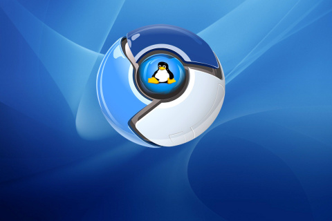 Fondo de pantalla Google Chrome for Linux 480x320