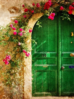 Fondo de pantalla Picturesque Old House Door 240x320