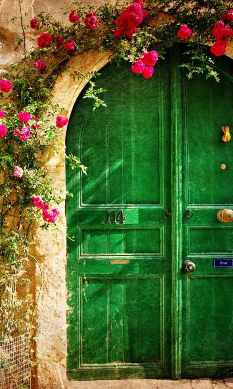 Picturesque Old House Door screenshot #1 480x800