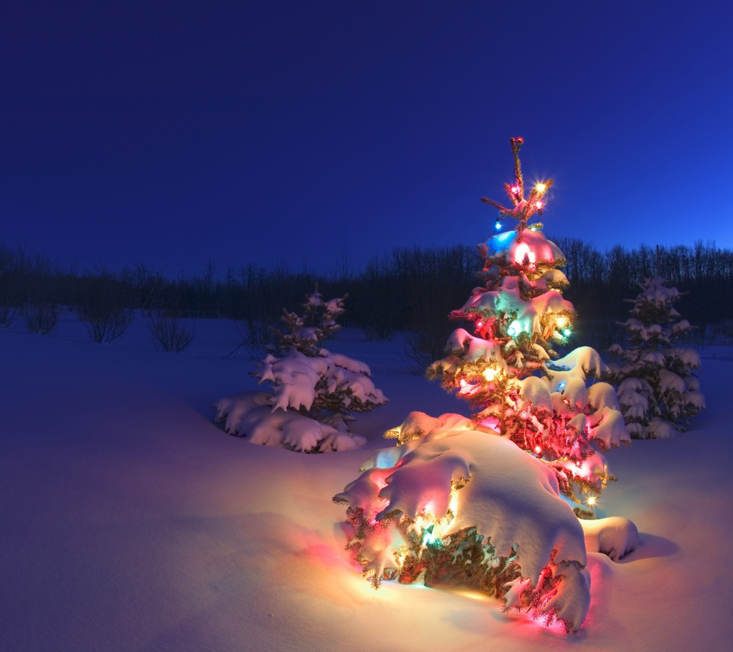 Обои Christmas Tree 1440x1280