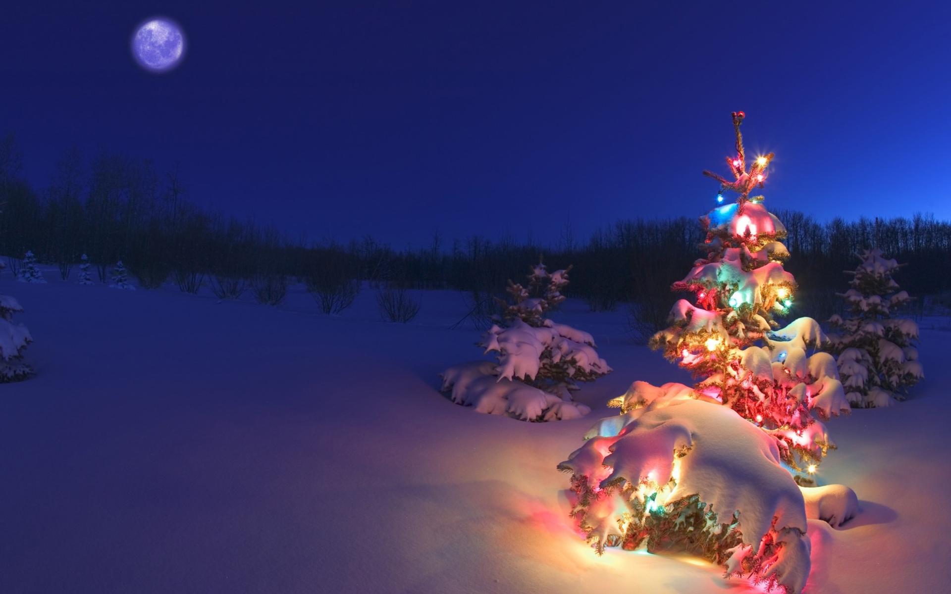 Christmas Tree screenshot #1 1920x1200