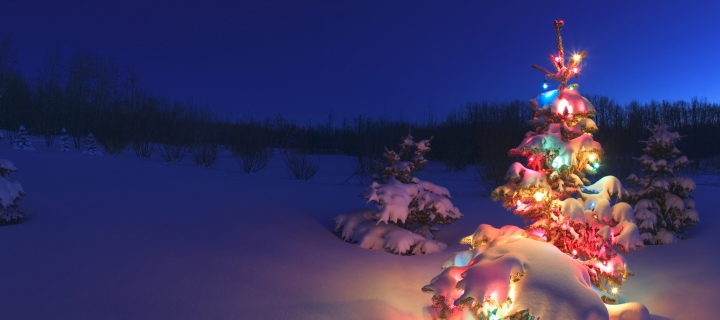 Das Christmas Tree Wallpaper 720x320