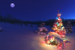 Christmas Tree - Obrázkek zdarma pro LG Optimus M