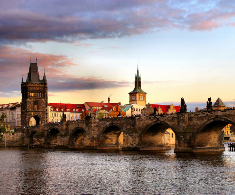 Screenshot №1 pro téma Charles Bridge In Prague 480x400