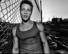 Screenshot №1 pro téma Brad Pitt 220x176