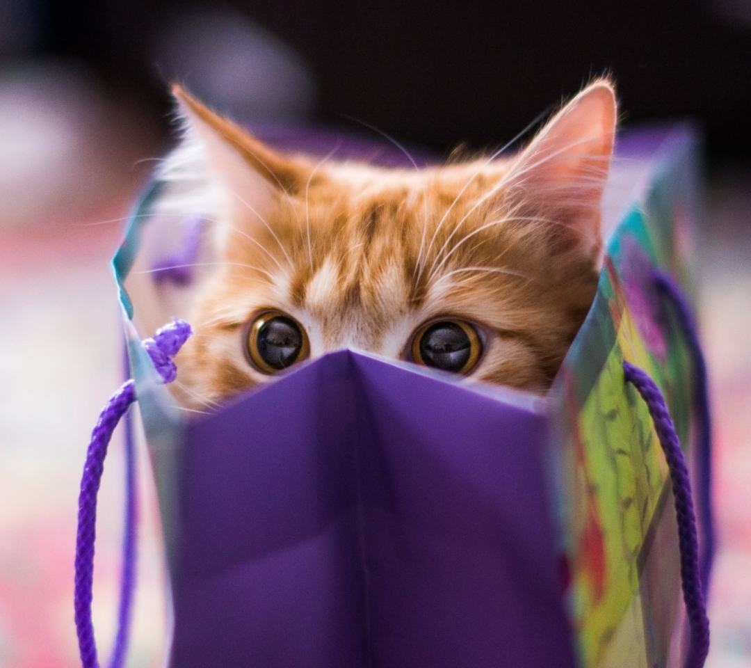 Ginger Cat Hiding In Gift Bag wallpaper 1080x960