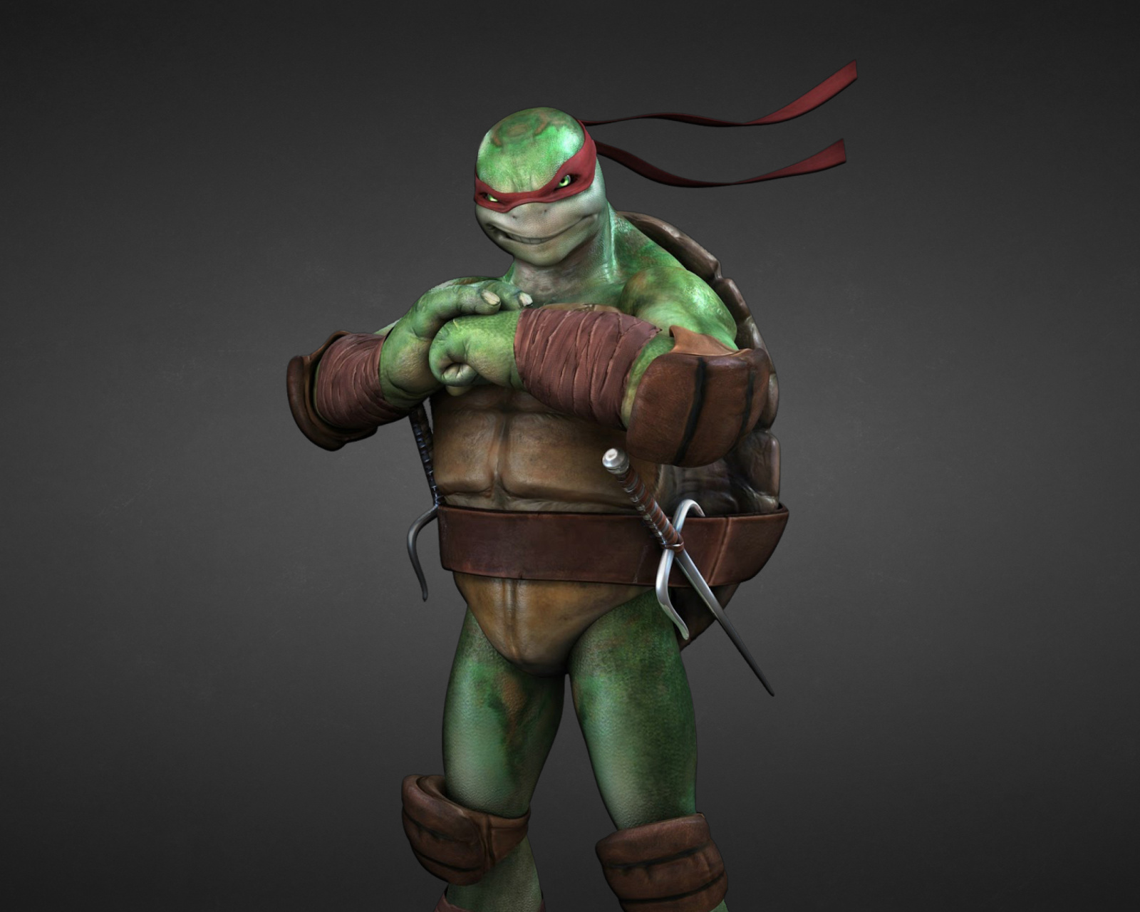 Обои Tmnt, Teenage mutant ninja turtles 1600x1280