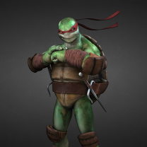 Das Tmnt, Teenage mutant ninja turtles Wallpaper 208x208