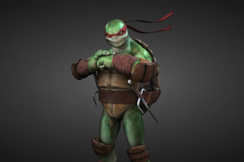Screenshot №1 pro téma Tmnt, Teenage mutant ninja turtles 480x320