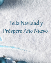 Feliz Navidad y Prospero Ano Nuevo wallpaper 176x220