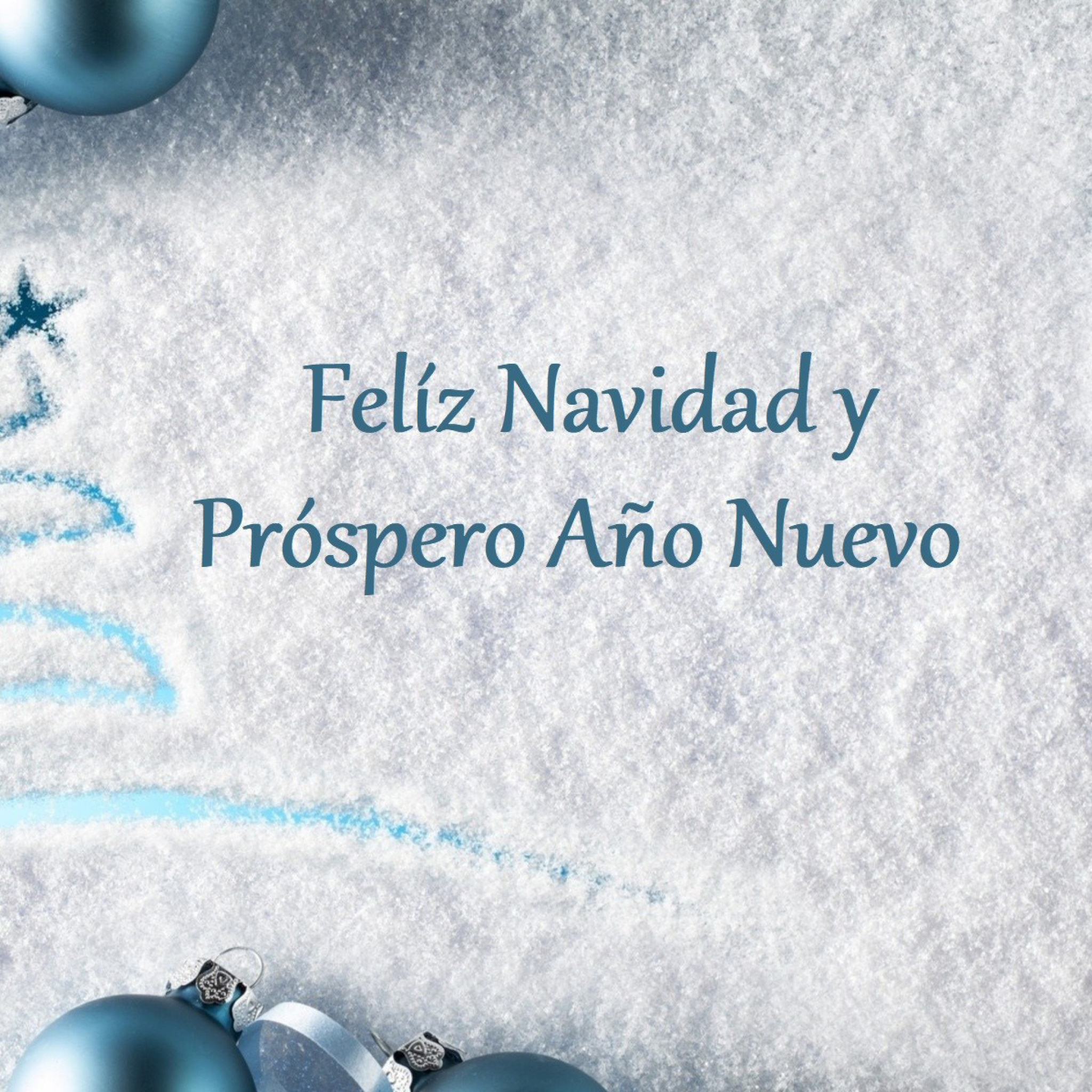 Das Feliz Navidad y Prospero Ano Nuevo Wallpaper 2048x2048