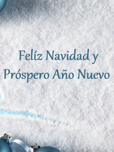 Feliz Navidad y Prospero Ano Nuevo wallpaper 480x640