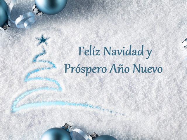 Feliz Navidad y Prospero Ano Nuevo wallpaper 640x480