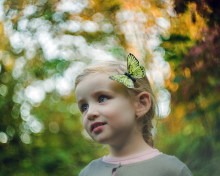 Das Little Butterfly Princess Wallpaper 220x176
