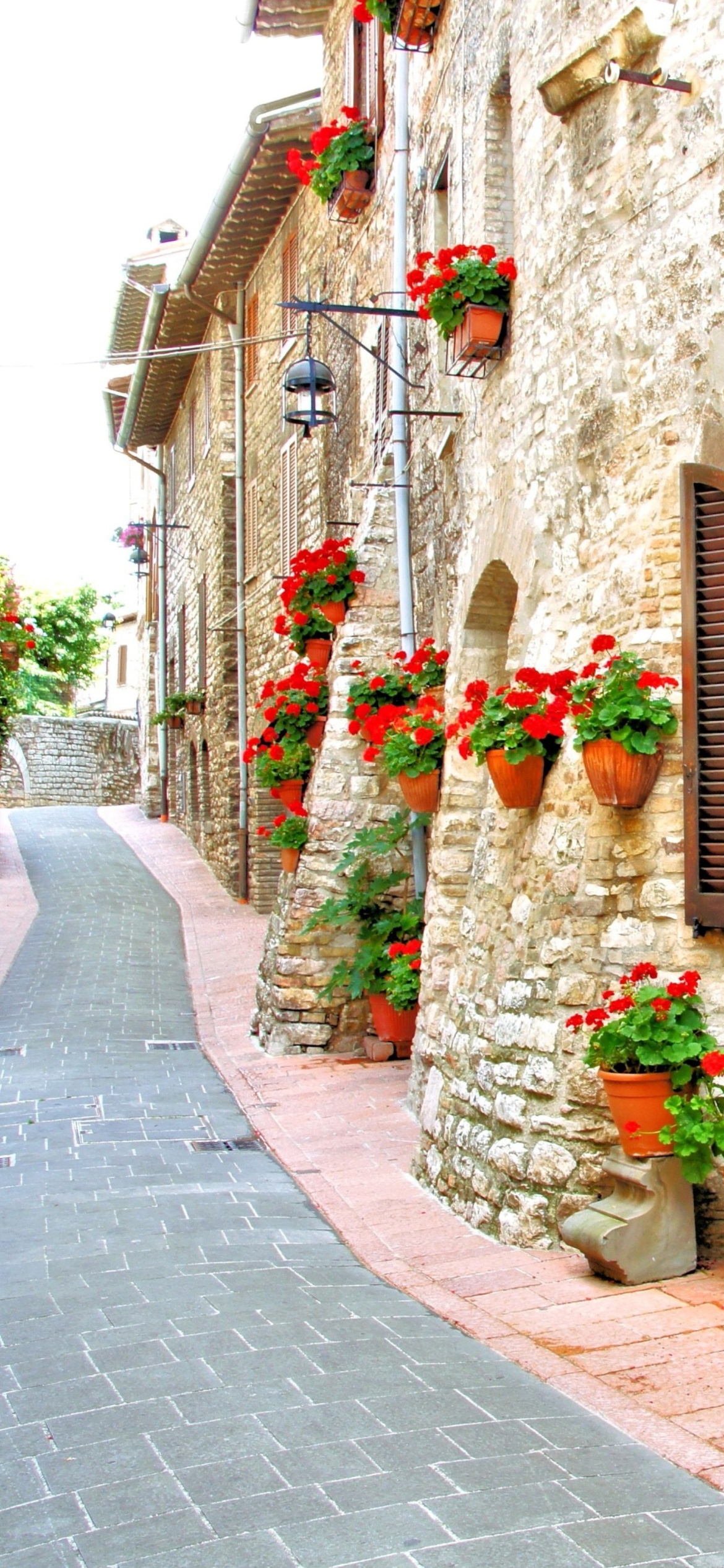 Italian Streets on Garda wallpaper 1170x2532