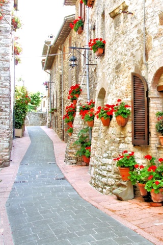 Italian Streets on Garda wallpaper 320x480