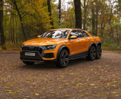 Screenshot №1 pro téma Audi Q8 6X6 Off Road 176x144