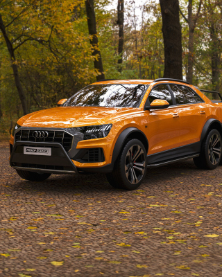 Audi Q8 6X6 Off Road Picture for 240x320