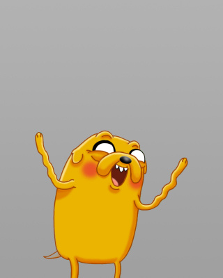 Adventure Time - Obrázkek zdarma pro 768x1280