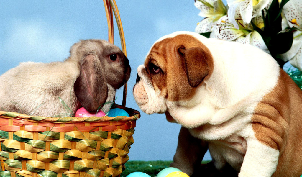 Easter Dog and Rabbit wallpaper 1024x600