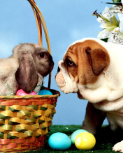 Easter Dog and Rabbit wallpaper 176x220