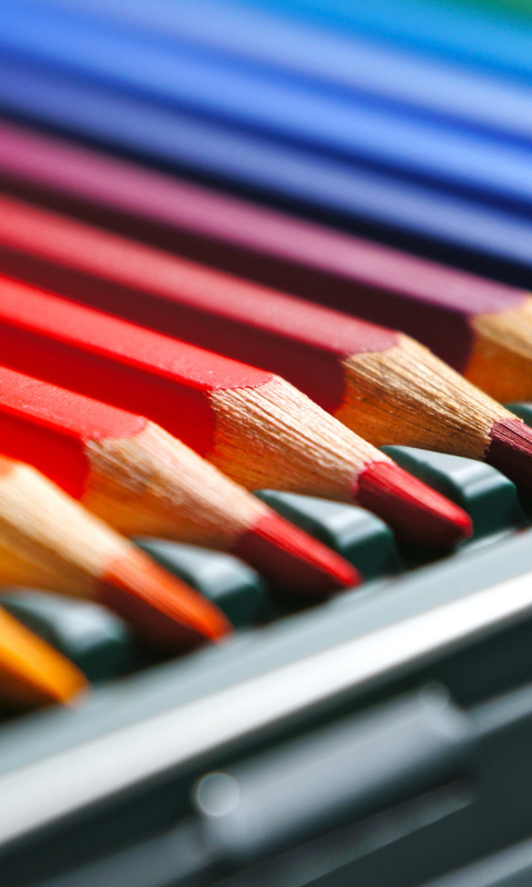 Обои Coloured Pencils 480x800