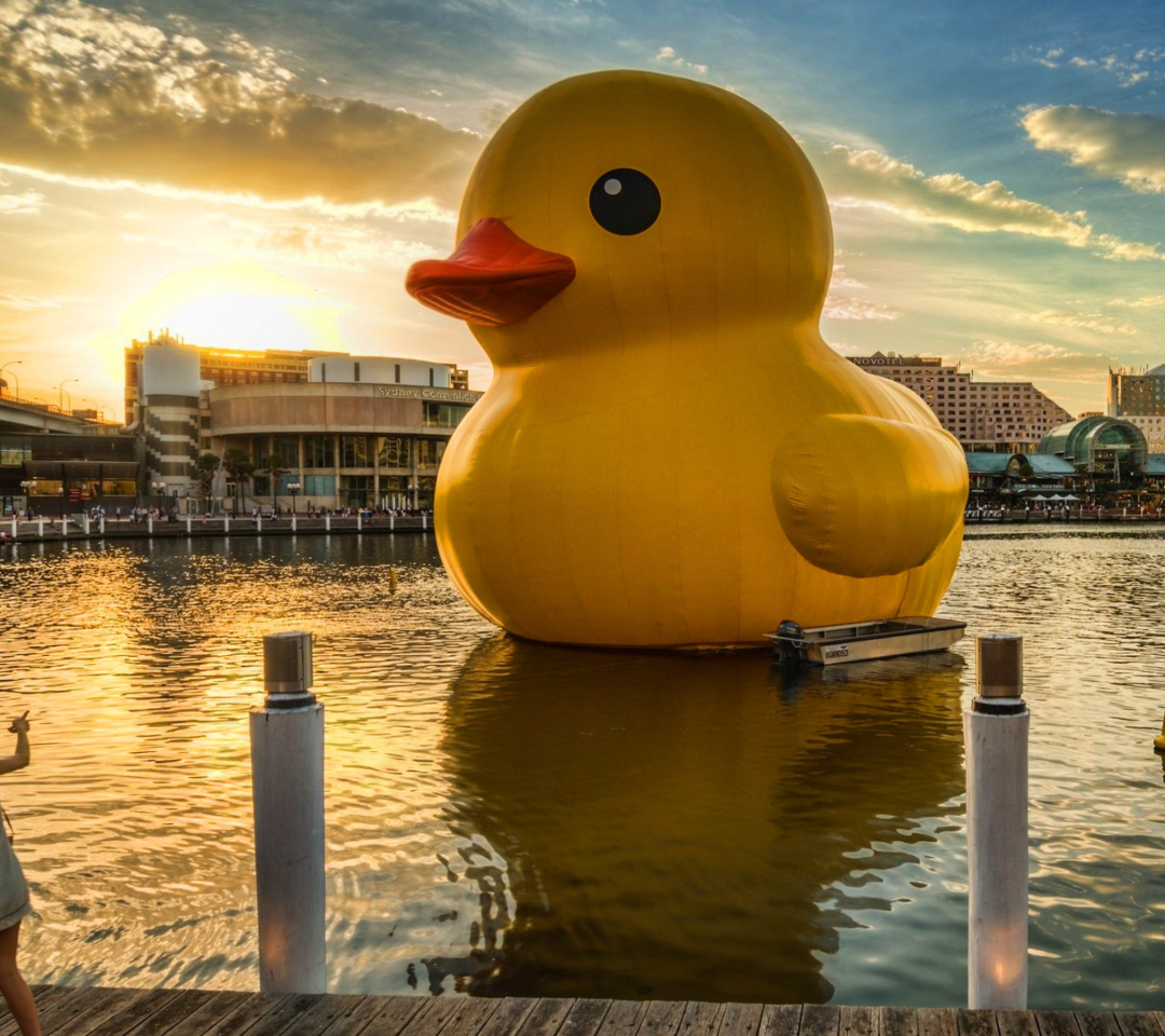 Giant Yellow Duck wallpaper 1080x960