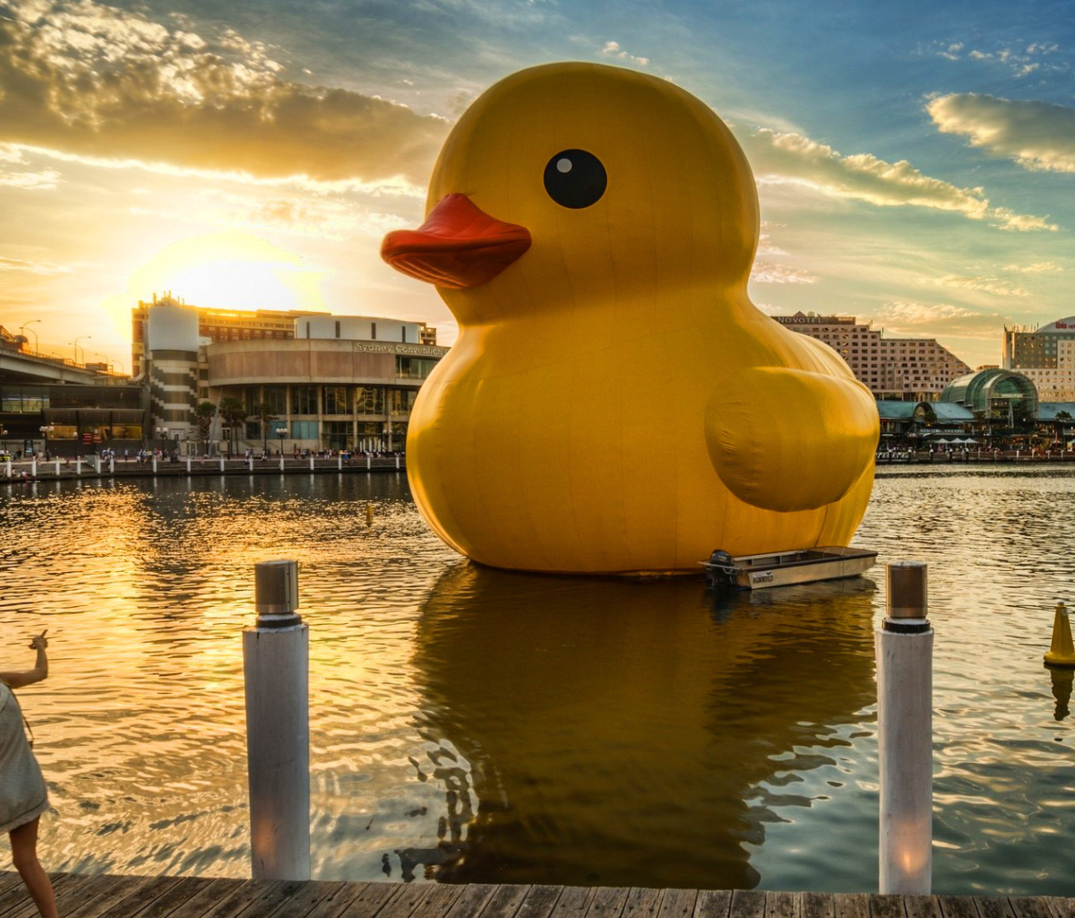 Fondo de pantalla Giant Yellow Duck 1200x1024