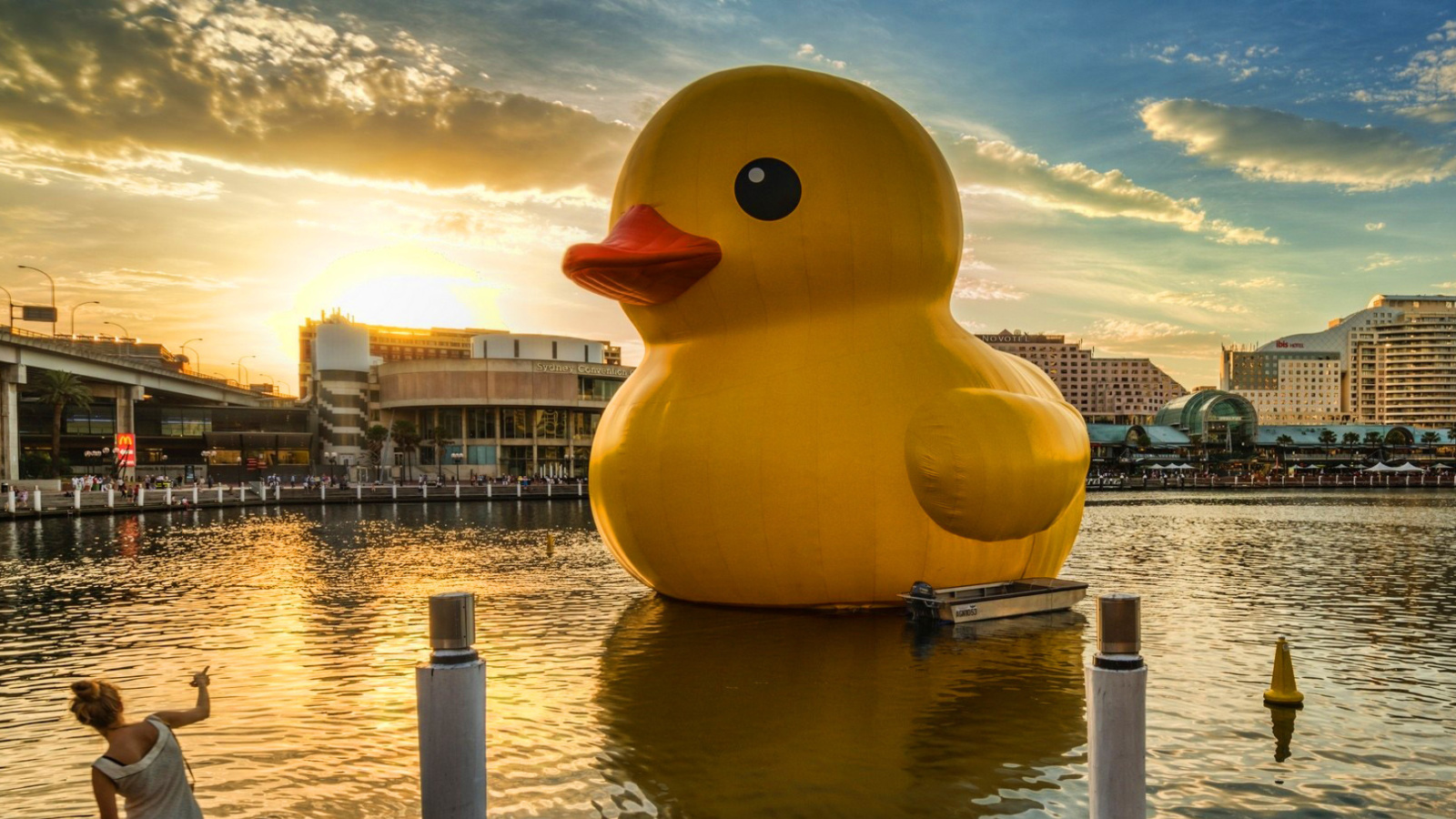 Обои Giant Yellow Duck 1600x900