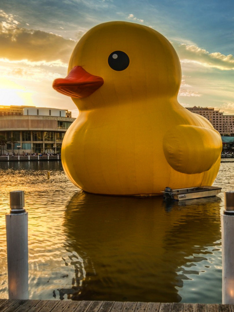 Fondo de pantalla Giant Yellow Duck 480x640