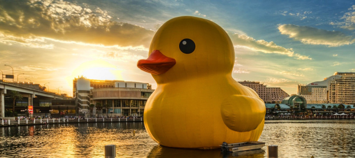 Giant Yellow Duck wallpaper 720x320