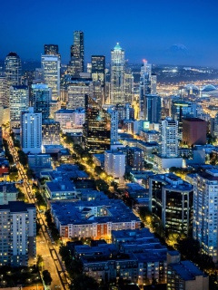 Seattle, Washington screenshot #1 240x320