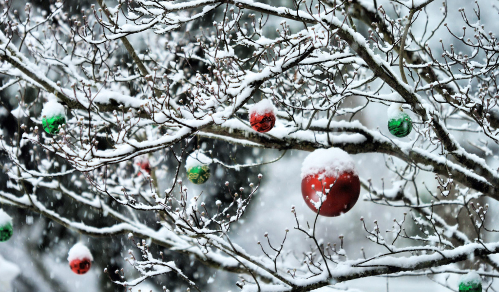 Sfondi Decorated Tree Branches 1024x600