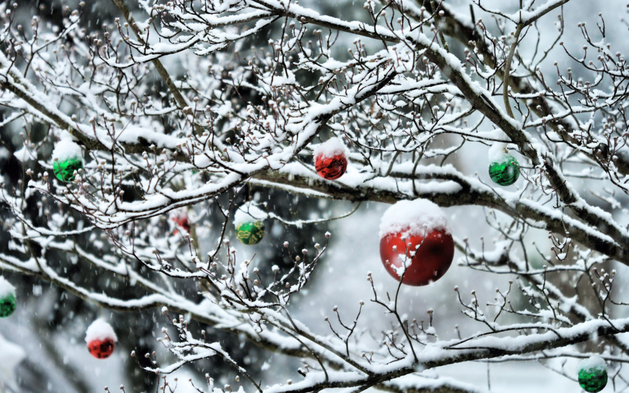 Decorated Tree Branches screenshot #1 1280x800