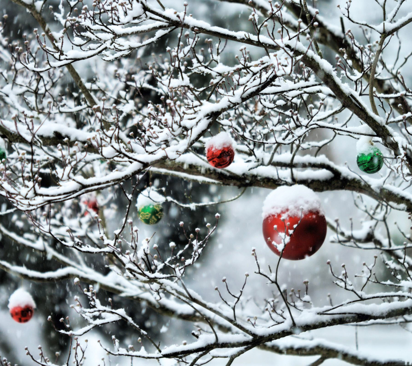 Das Decorated Tree Branches Wallpaper 1440x1280