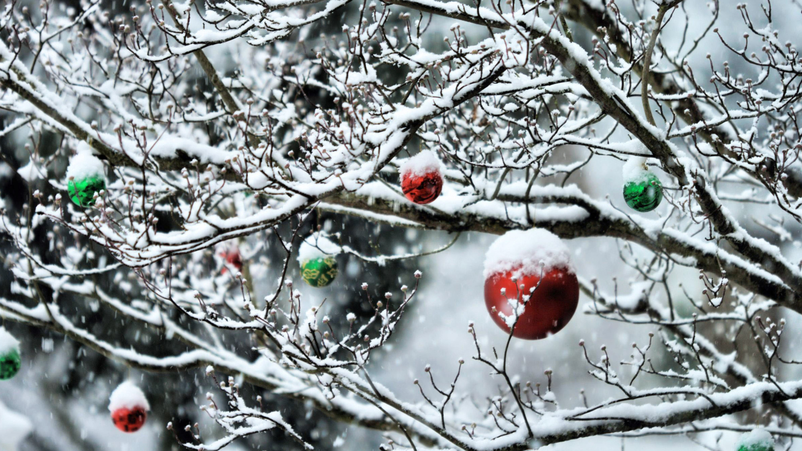 Sfondi Decorated Tree Branches 1600x900