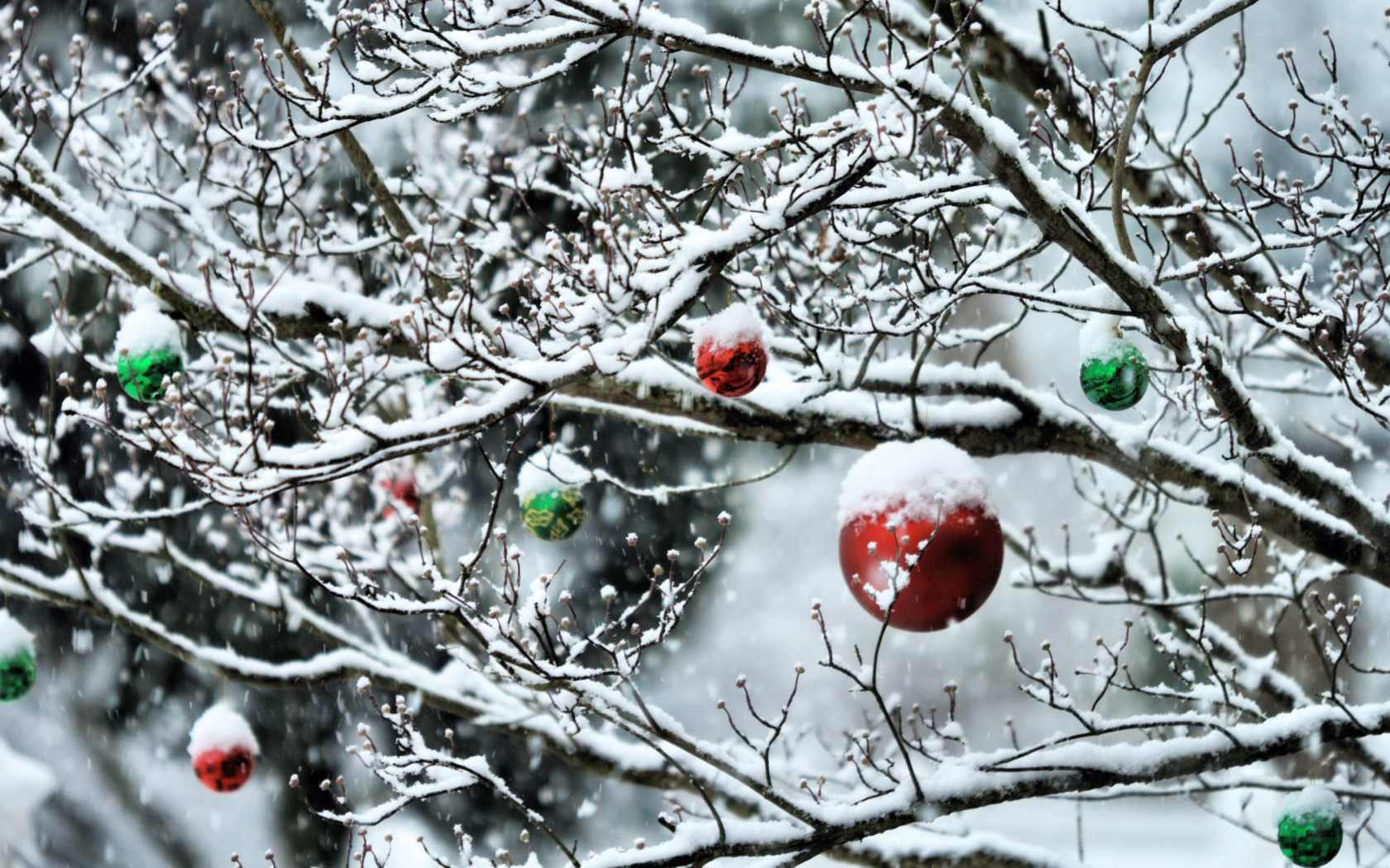 Decorated Tree Branches screenshot #1 1680x1050