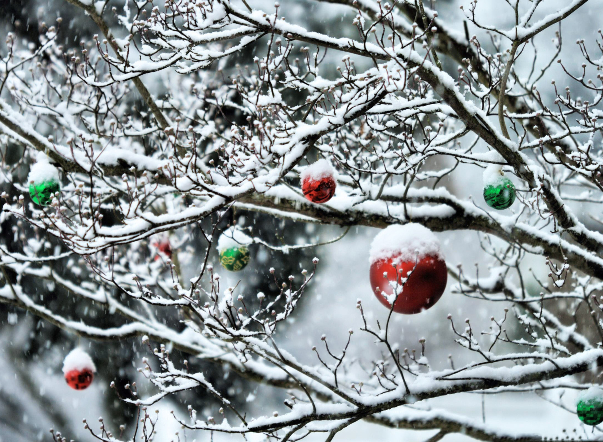 Das Decorated Tree Branches Wallpaper 1920x1408