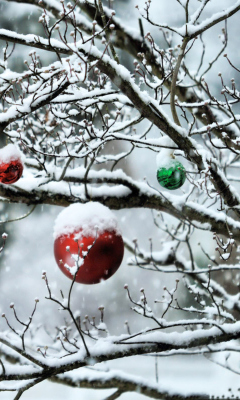 Decorated Tree Branches screenshot #1 240x400