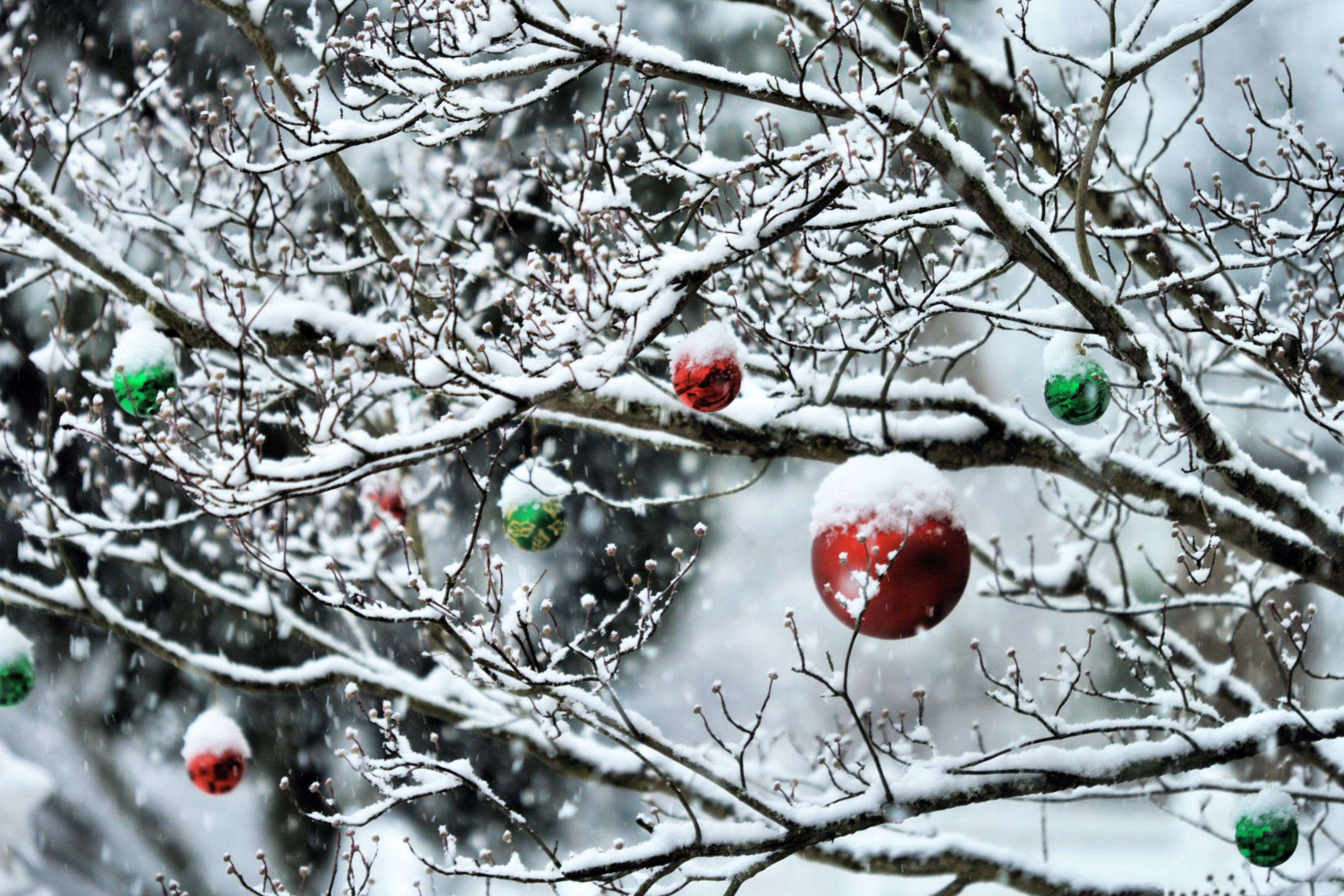 Das Decorated Tree Branches Wallpaper 2880x1920